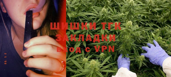 дживик Арсеньев
