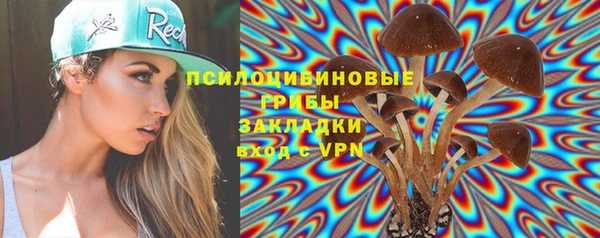 дурь Аркадак