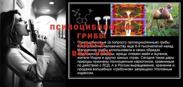 дурь Аркадак