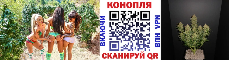 Бошки Шишки OG Kush цена наркотик Сычёвка